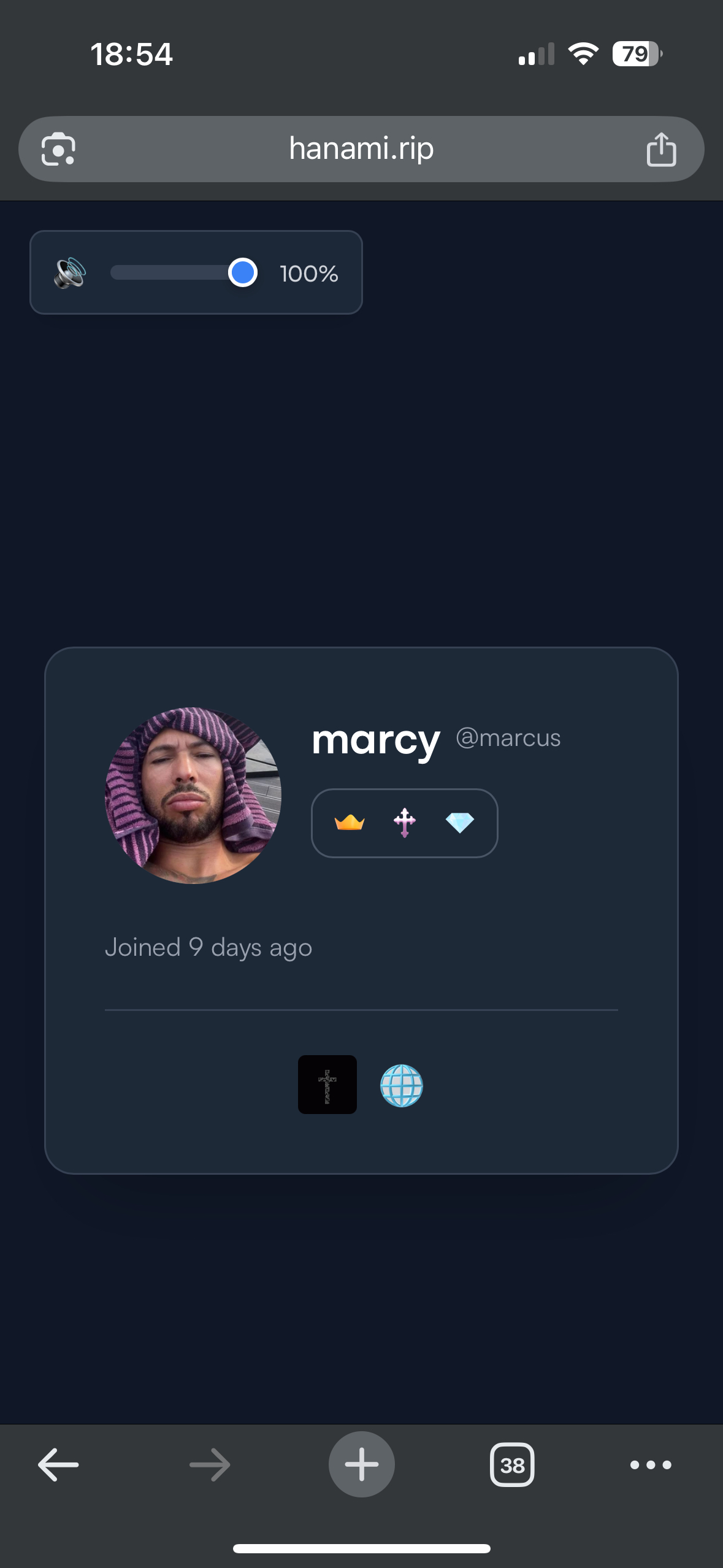 Mobile Interface Preview
